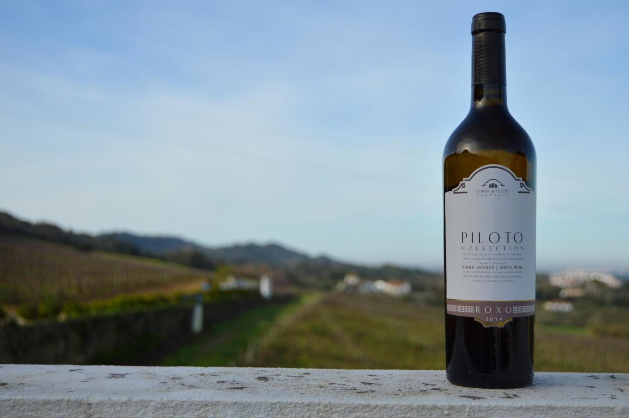 Quinta Do Piloto Pensionat Palmela Exteriör bild