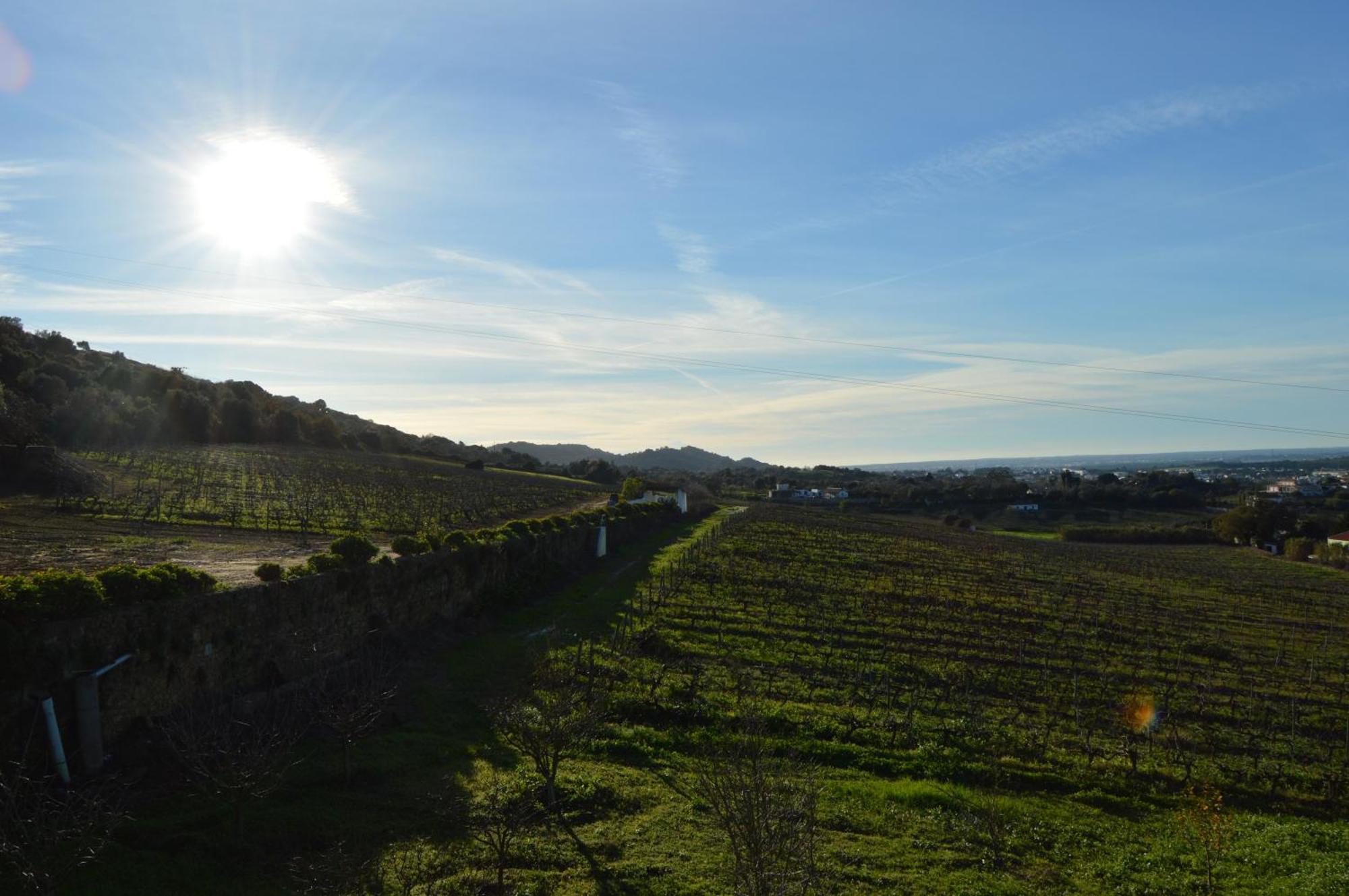 Quinta Do Piloto Pensionat Palmela Exteriör bild
