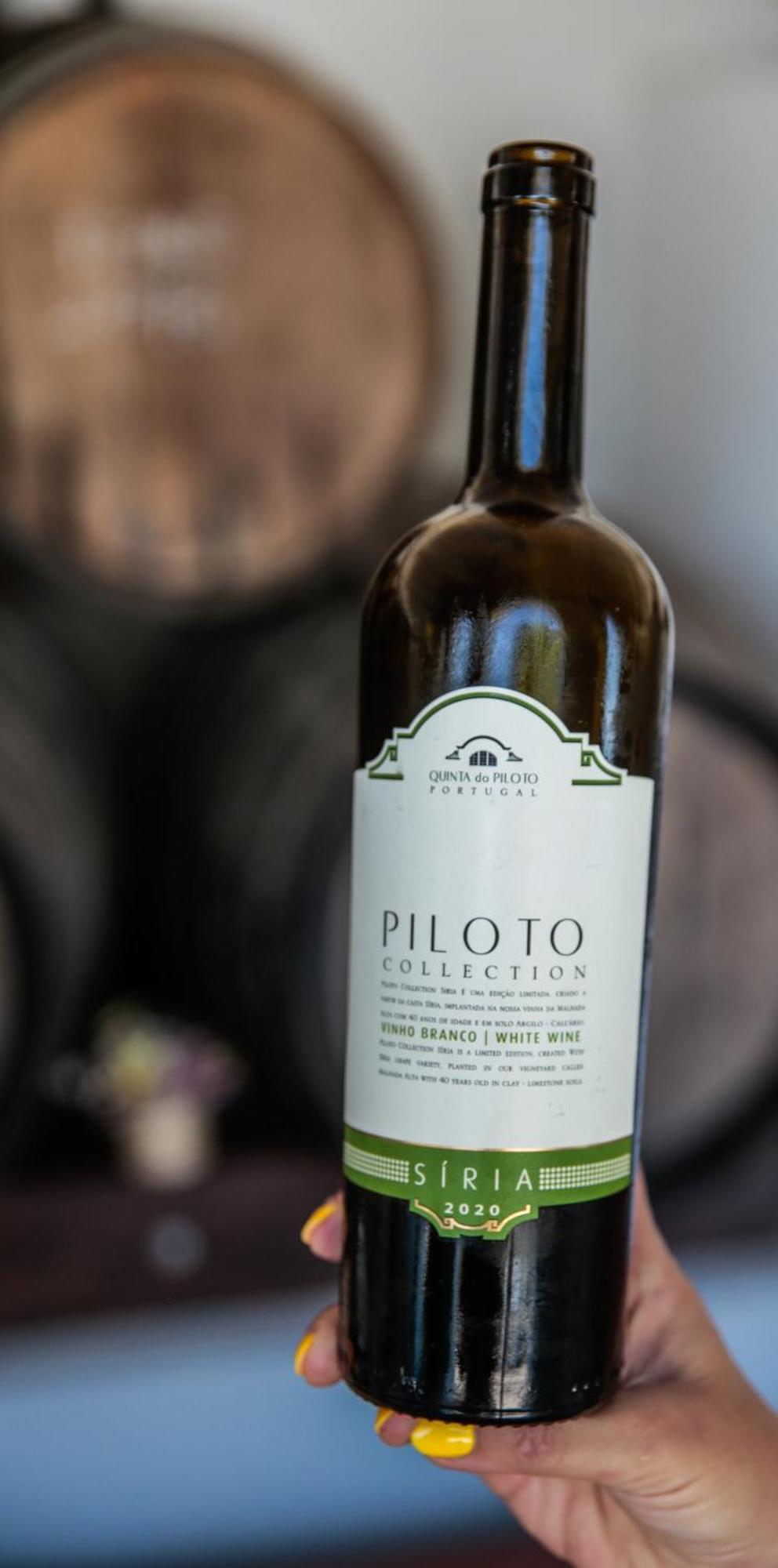 Quinta Do Piloto Pensionat Palmela Exteriör bild