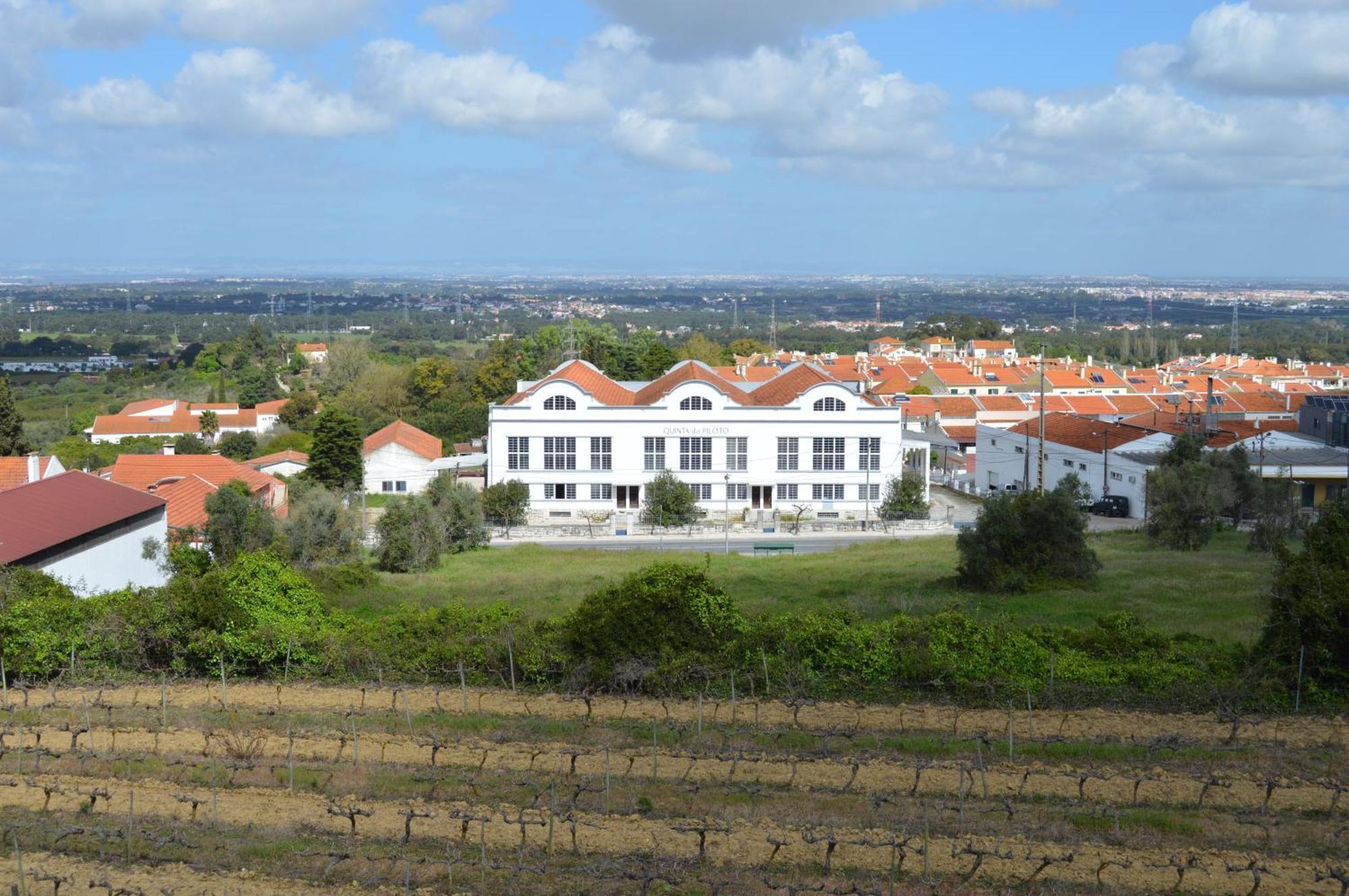 Quinta Do Piloto Pensionat Palmela Exteriör bild