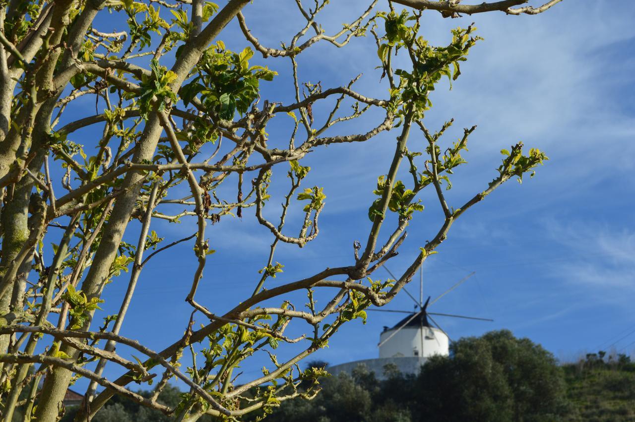 Quinta Do Piloto Pensionat Palmela Exteriör bild